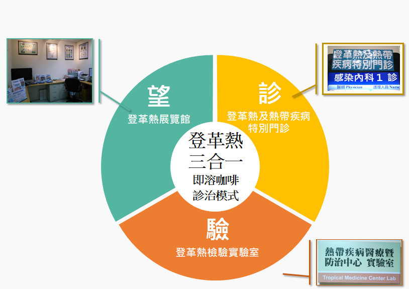 登革熱三合一診治模式