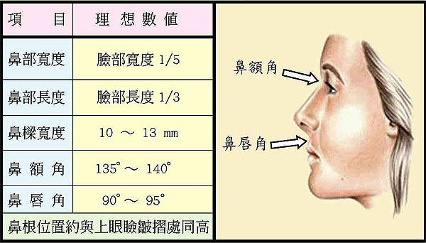 漫談鼻部整形